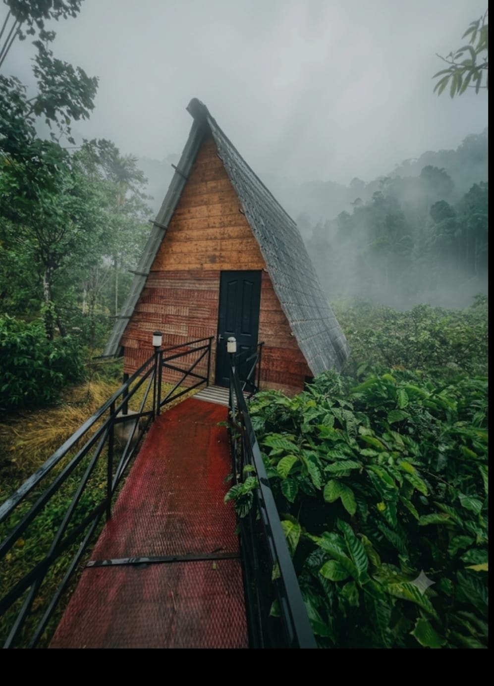 Golden Hill Resort Nature