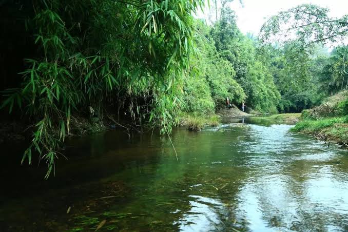 Golden Hill Resort Nature